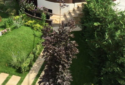 Amenajare exterior #4 – foto 3