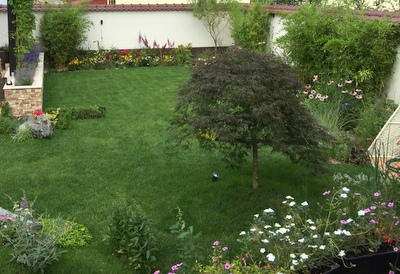 Amenajare exterior #4 – foto 5
